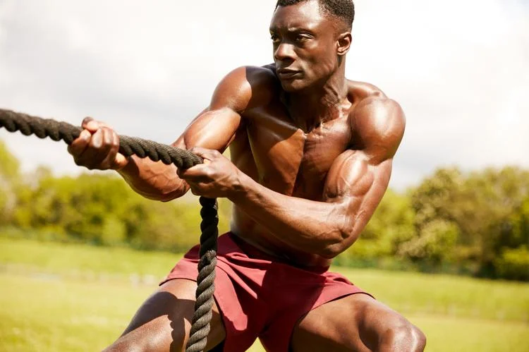 mesomorph training