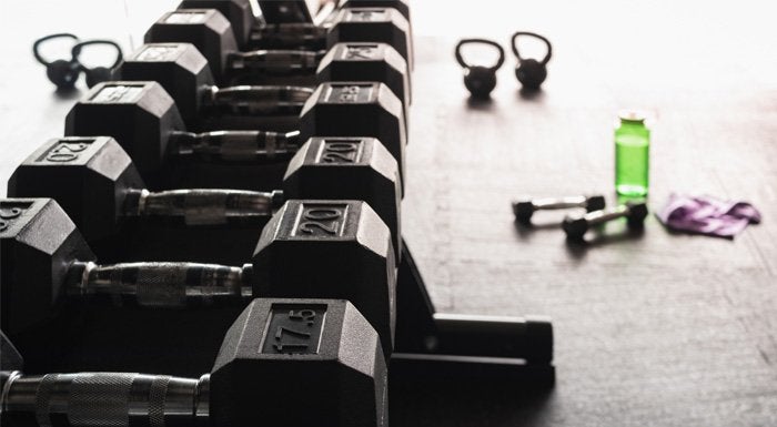 weights rack in the gym