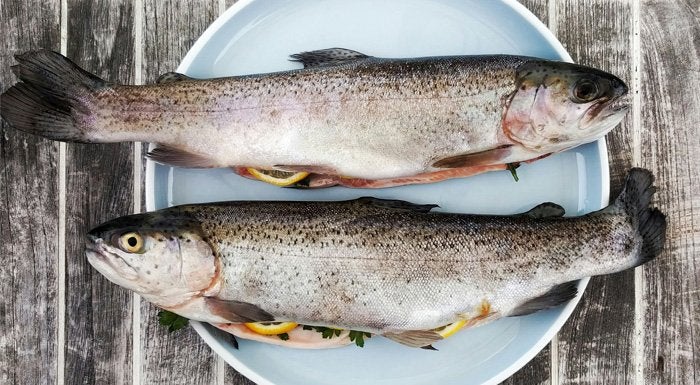 oily fish