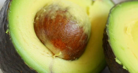 avocado oil