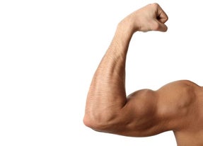 muscle growth whey protein
