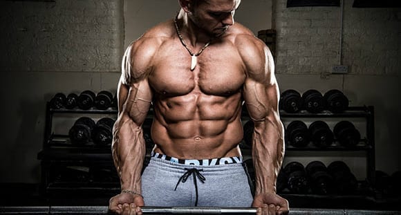 muscle pump building mass