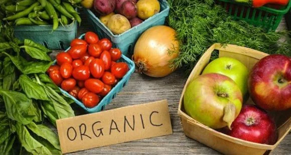 organic foods