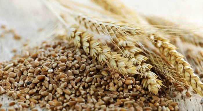 whole grains