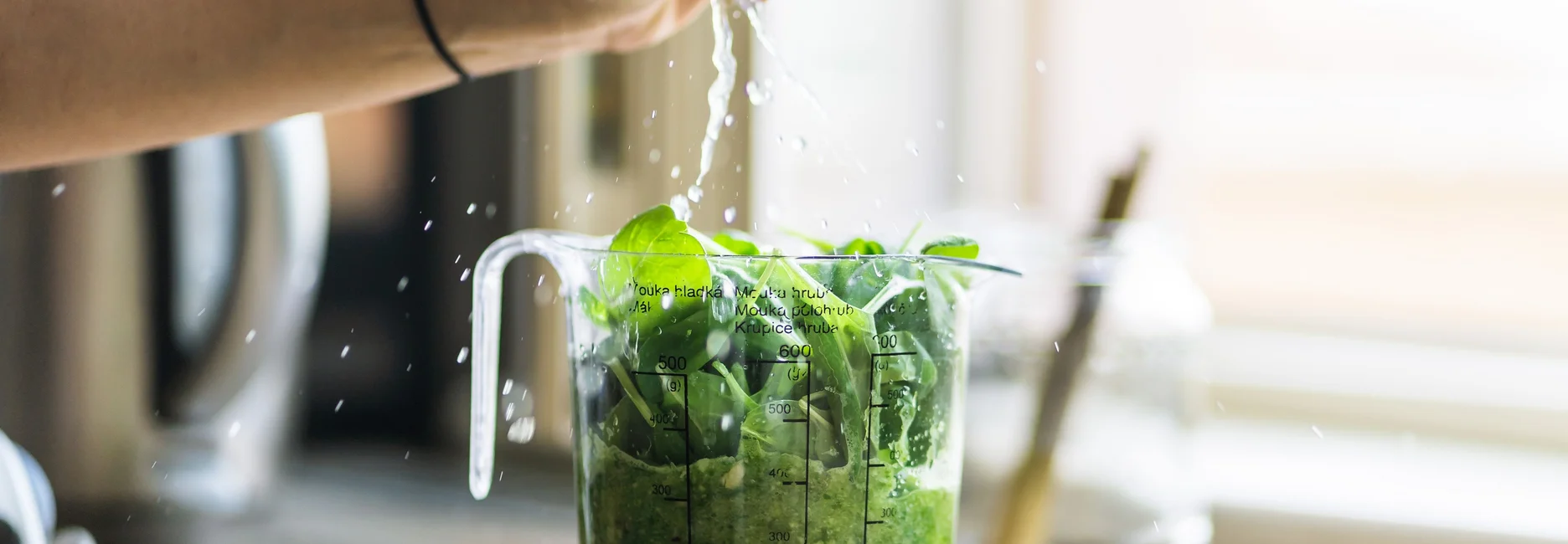 plant based protein sources vegan athlete