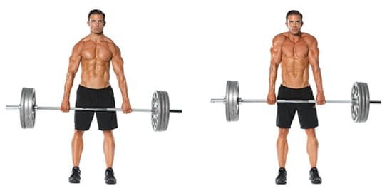 Barbell Shrugs