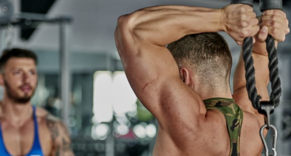 muscle growth
