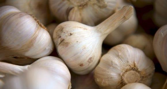 garlic bulbs