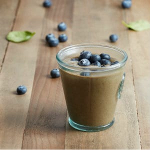 vegan shake