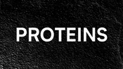 Protein